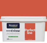 H17405-2L5 - Peinture MonoCrÃ¨me - Perfectl