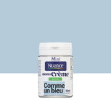 3505391058588 - Testeur peinture MonoCrÃ¨me -