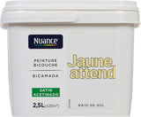 3505391059509 - Peinture bicouche - Jaune atte