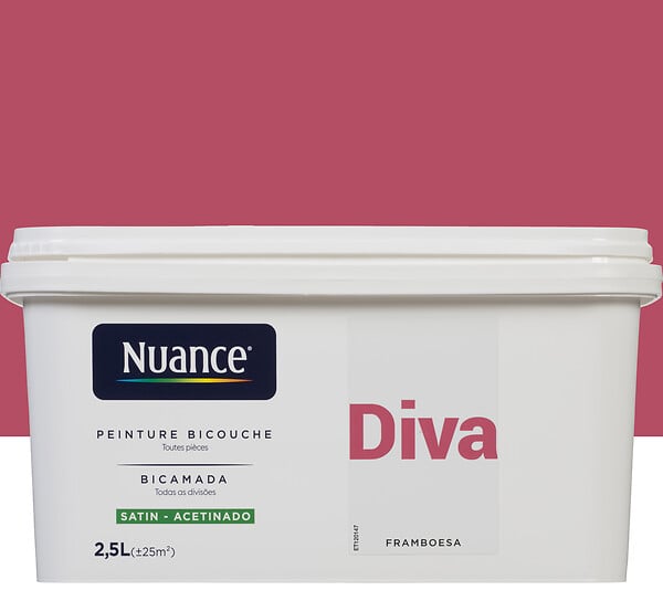 3505391059547 - Peinture bicouche - Diva - Sat