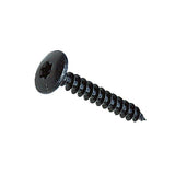 B2016001 - 30 vis pentures torx acier zin