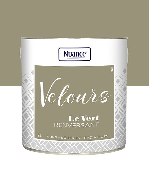 436252 - Peinture Velours - Vert renver