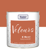 436262 - Peinture Velours - Ocre sauvag