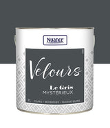 436237 - Peinture Velours - Gris myster