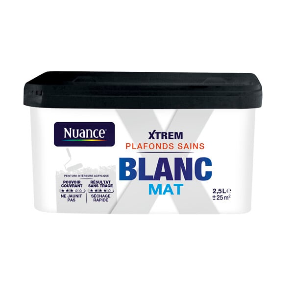 H18316-2L5 - Peinture XTREM Plafonds sains