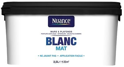BRM109855 - Peinture Murs et plafonds - Bl