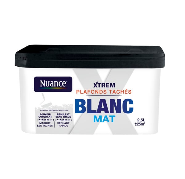 H18318-2L5 - Peinture XTREM Plafonds tachÃ©