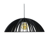 545955 - Suspension peuplier Sonigo - W
