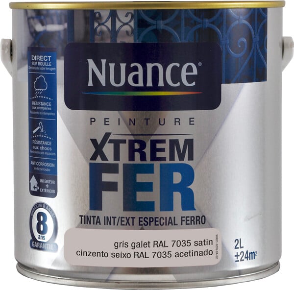 BRM110558 - Peinture XTREM Fer - Gris gale