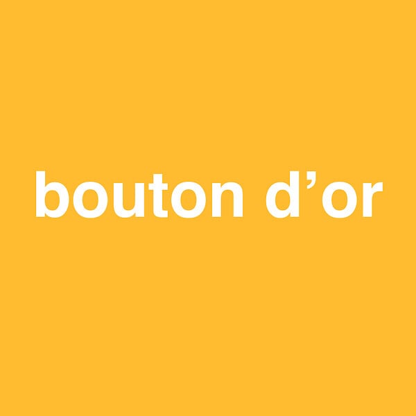3505391056065 - Peinture MonoCrÃ¨me - Bouton d