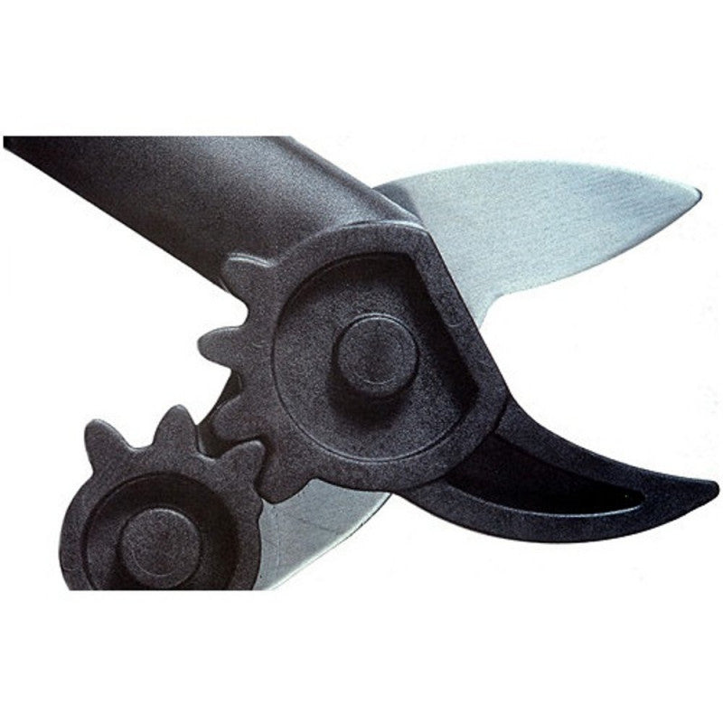 Coupe-branches à crémaillère et enclume FISKARS (S) L31 Powergear