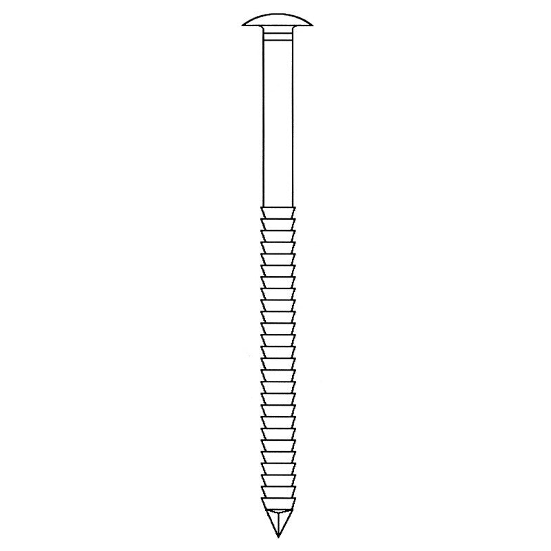 Pointes bombée Inox A2 Annelée en vrac 1kg NORFIX