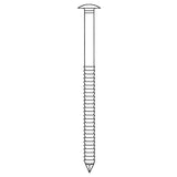 Pointes bombée Inox A2 Annelée en vrac 1kg NORFIX